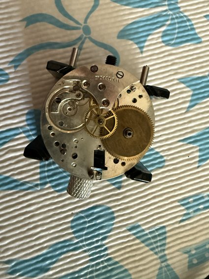 Recent watch build